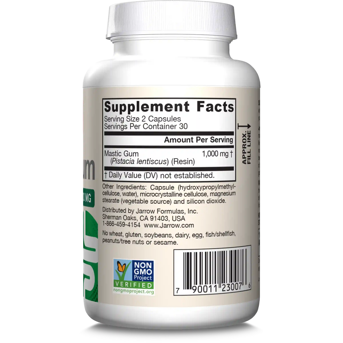 Mastic Gum