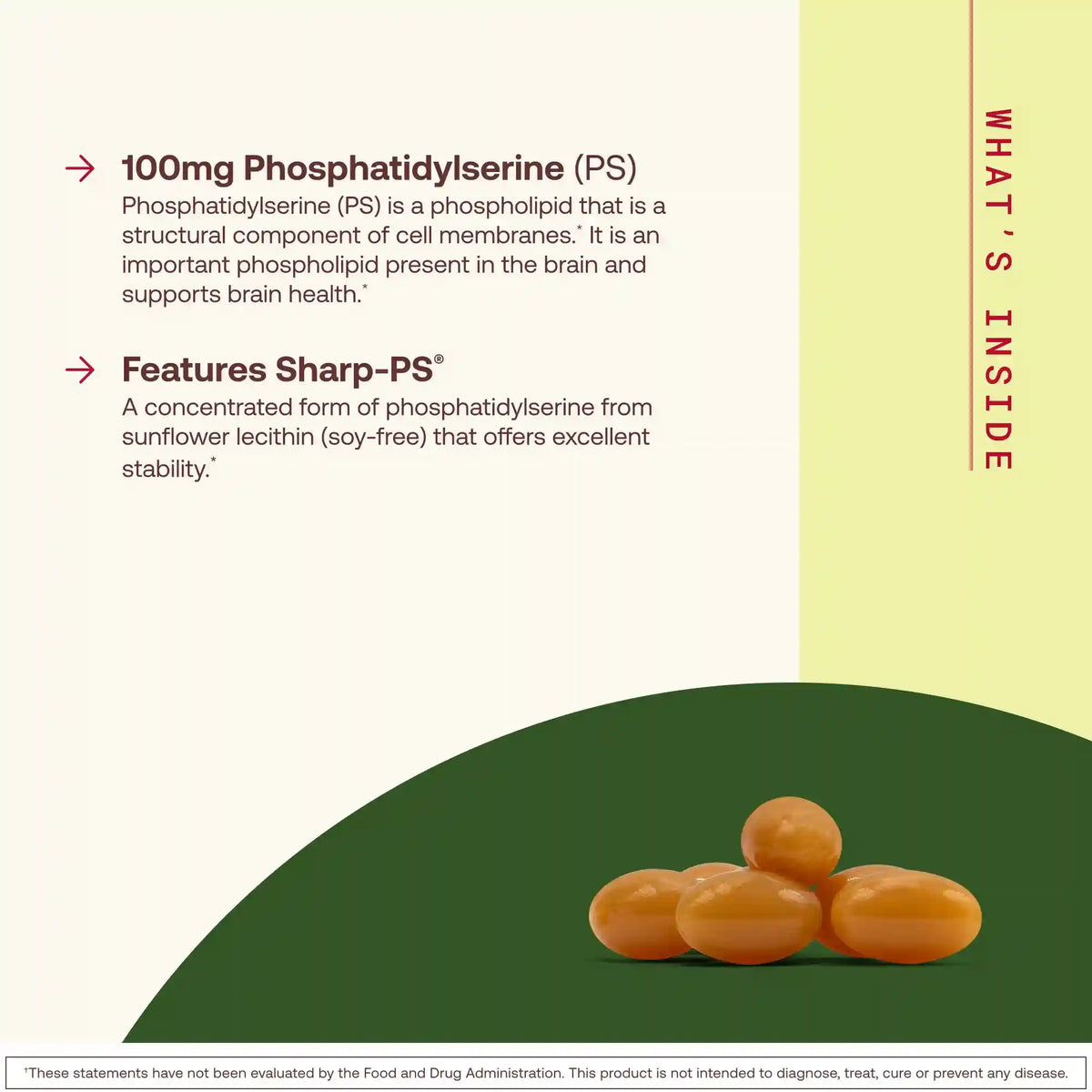 PS 100 - 100mg Softgels
