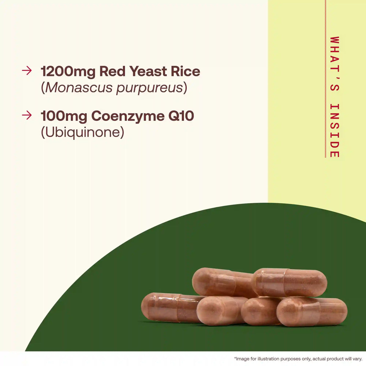 Red Yeast Rice
