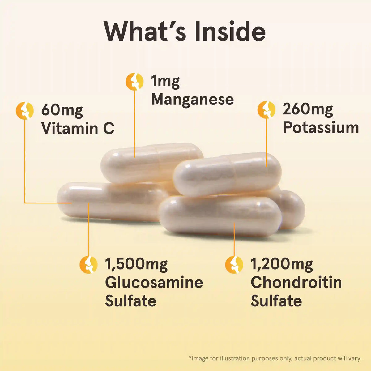 Glucosamine + Chondroitin
