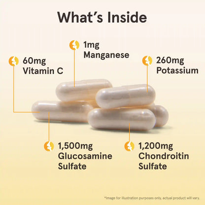 Glucosamine + Chondroitin