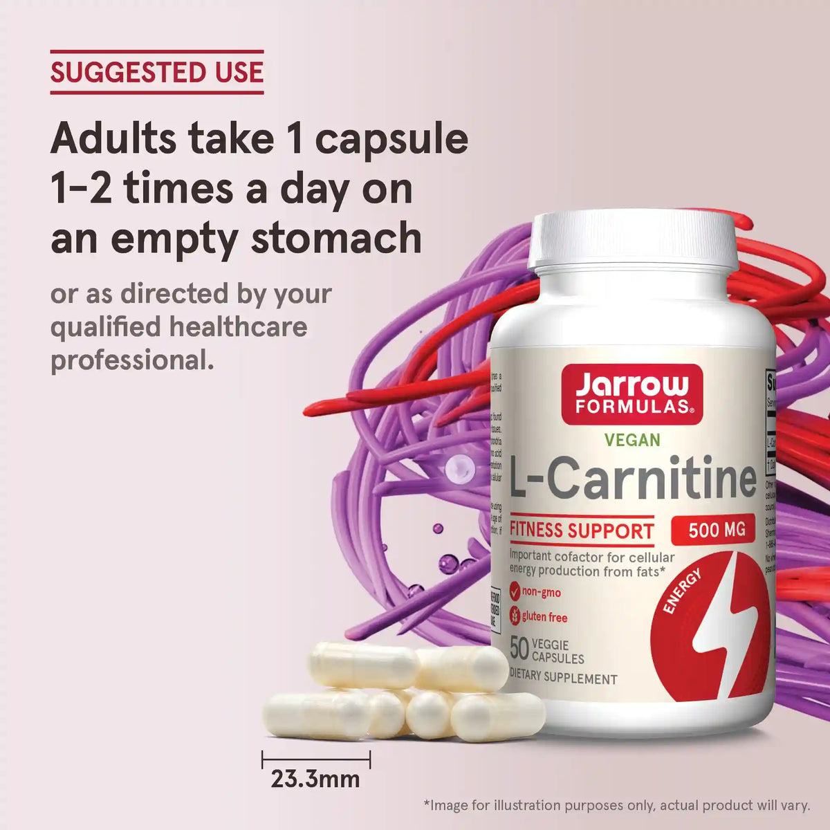 L-Carnitine - 500mg Veggie Capsules