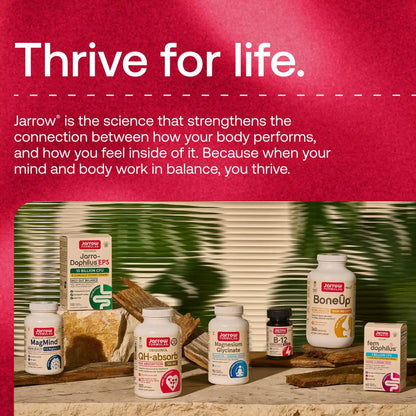 Gut & Protein Optimizer