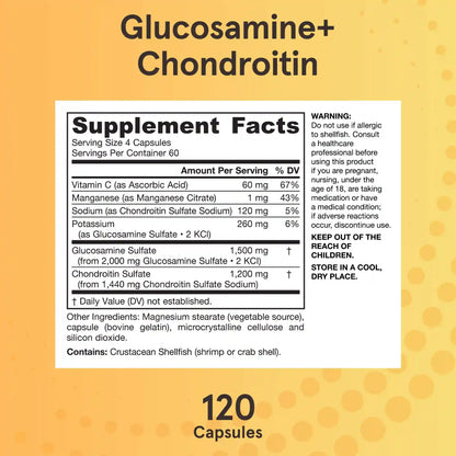 Glucosamine + Chondroitin
