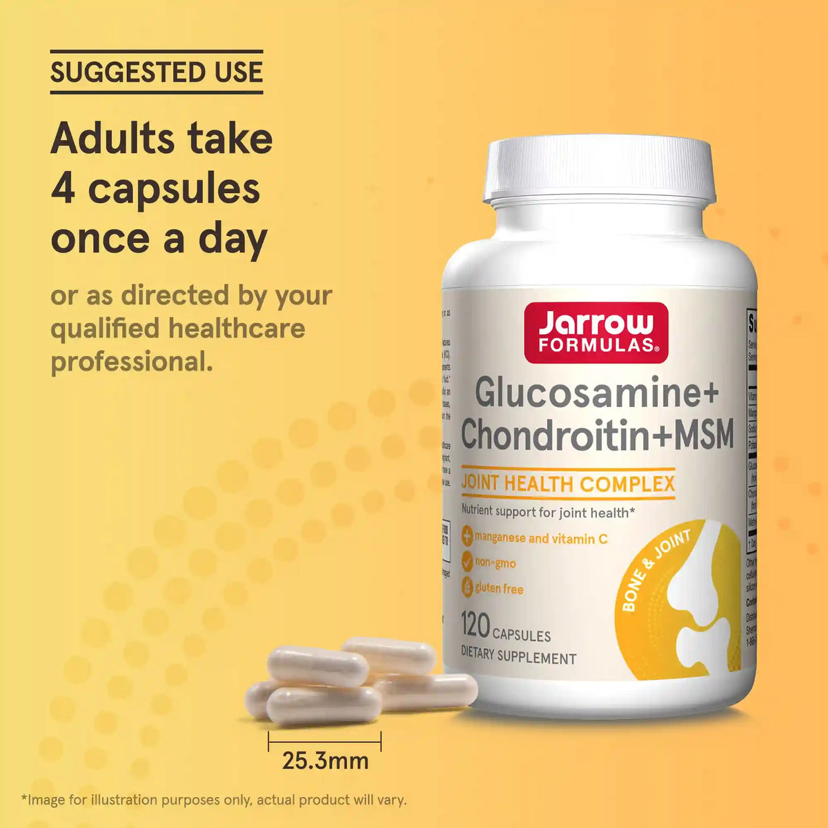 Glucosamine + Chondroitin + MSM