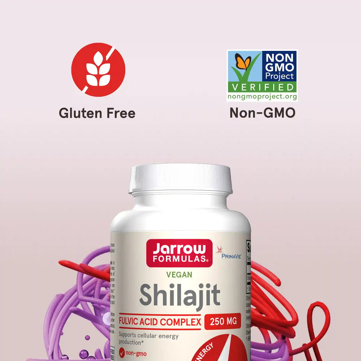 Shilajit Fulvic Acid Complex