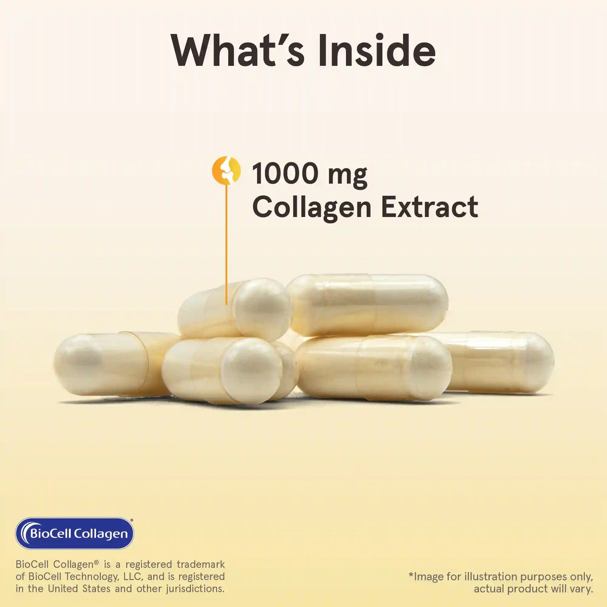 Type II Collagen Complex
