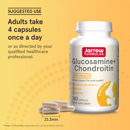Glucosamine + Chondroitin