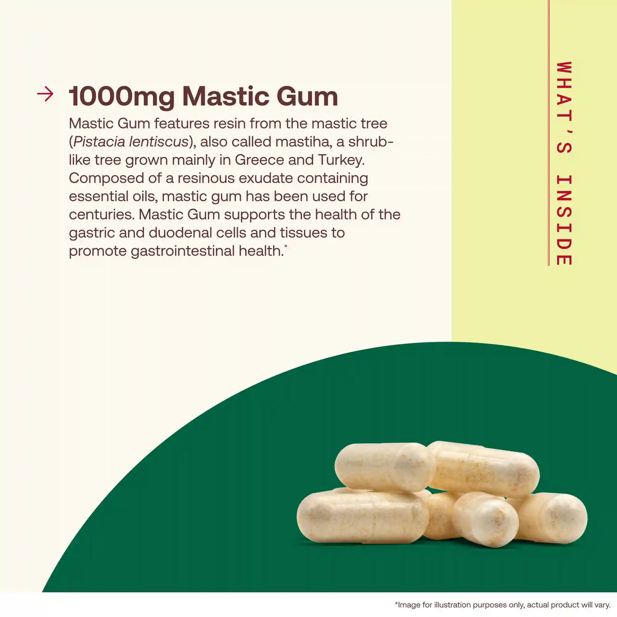 Mastic Gum