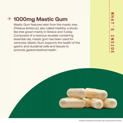 Mastic Gum