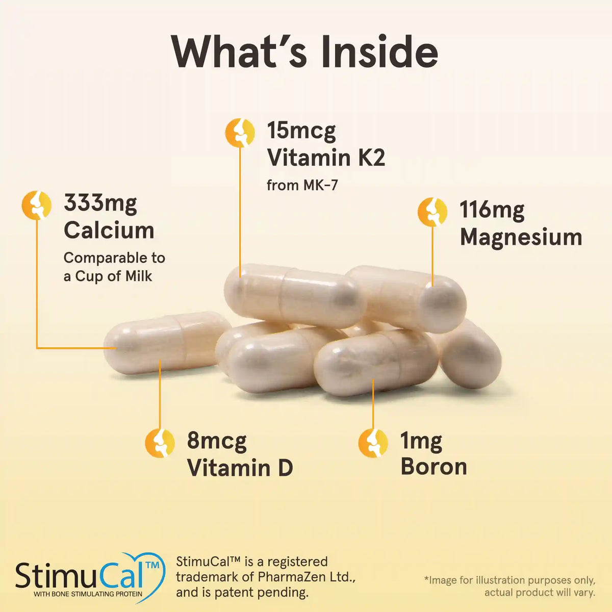 BoneUp® Three Per Day