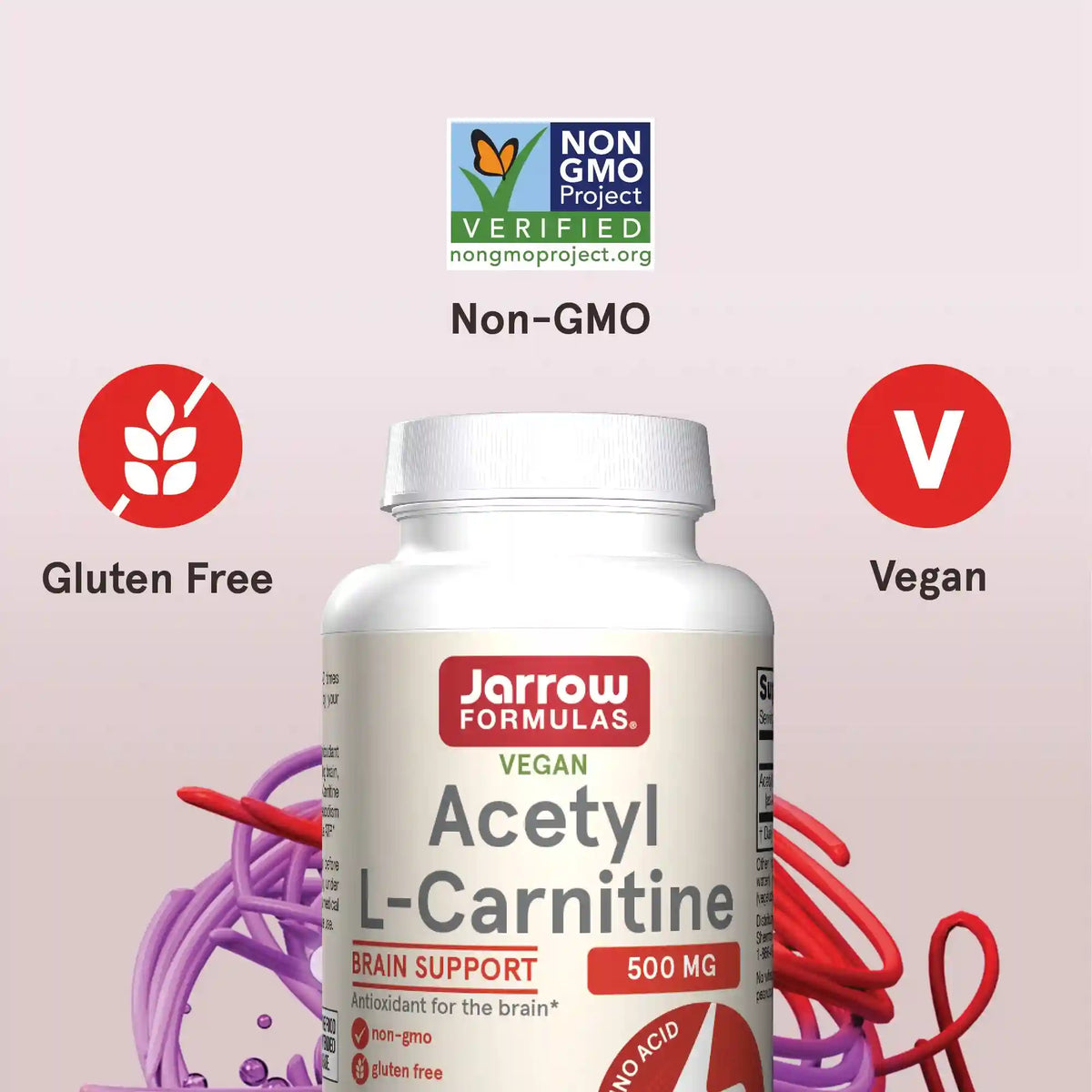Acetyl L-Carnitine 500 mg