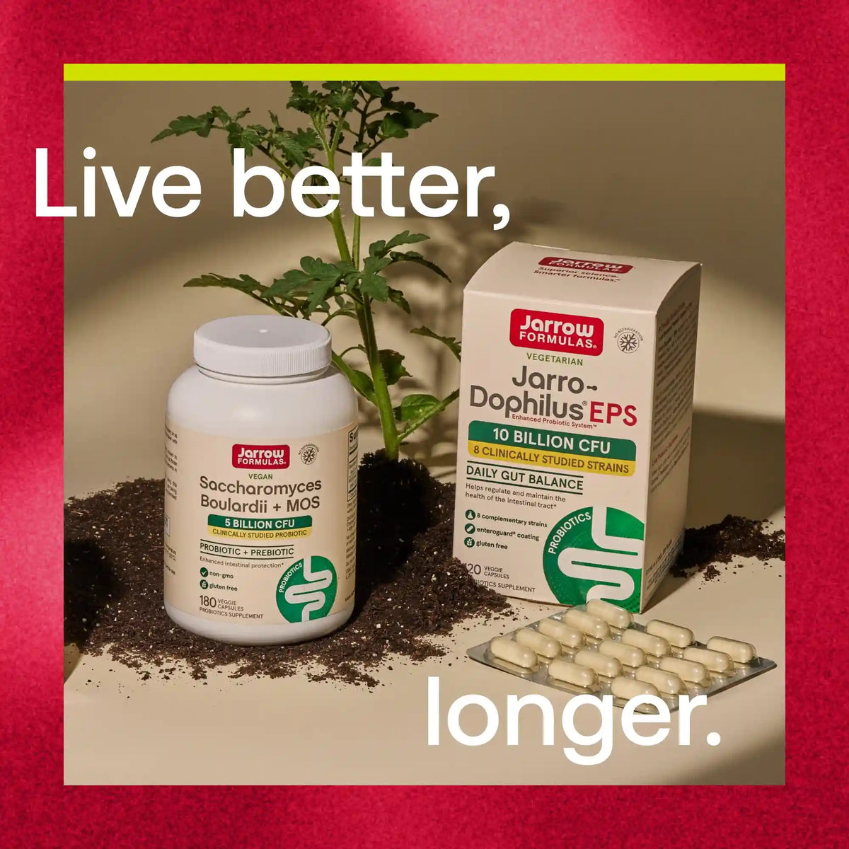 Gut & Protein Optimizer