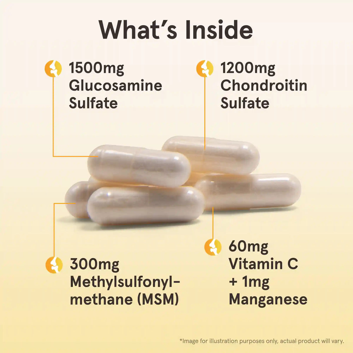 Glucosamine + Chondroitin + MSM
