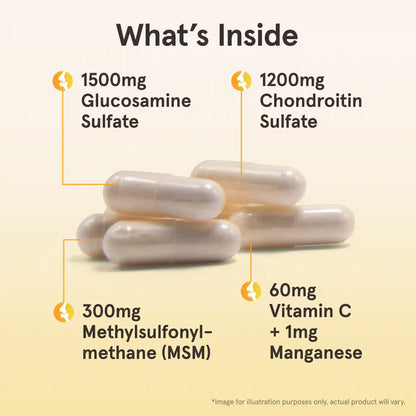 Glucosamine + Chondroitin + MSM