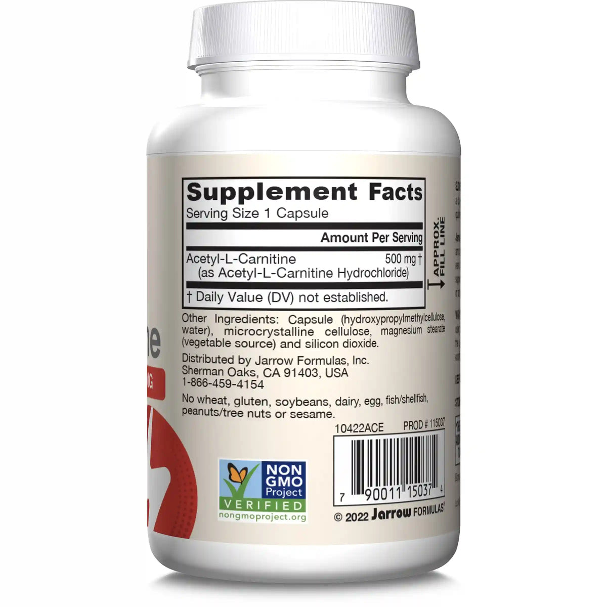 Acetyl L-Carnitine 500 mg