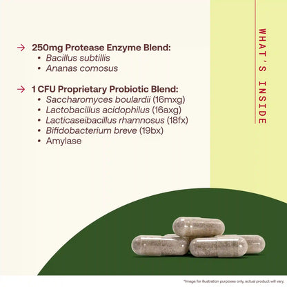 Gut & Protein Optimizer