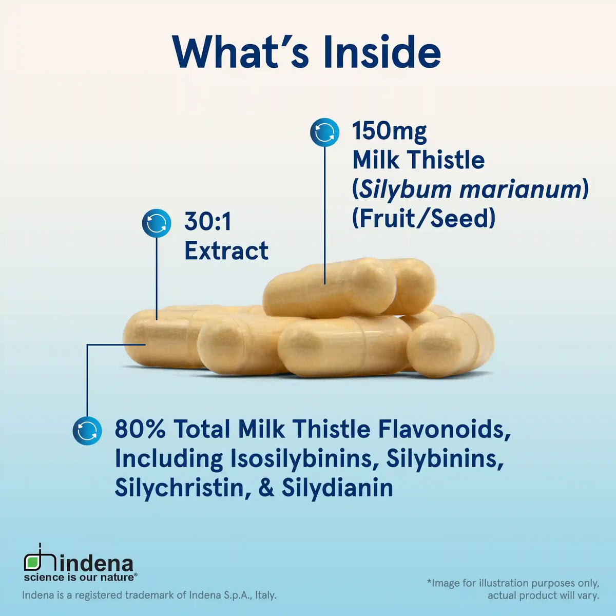 Milk Thistle