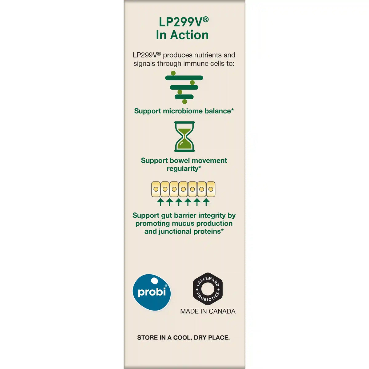 Ideal Bowel Support® LP299V®